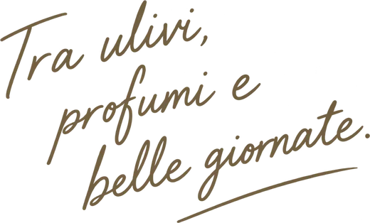 Tra ulivi, profumi e belle giornate.