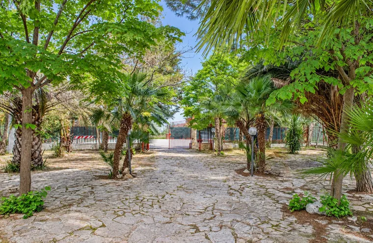 Il viale in pietra tra gli alberi del giardino